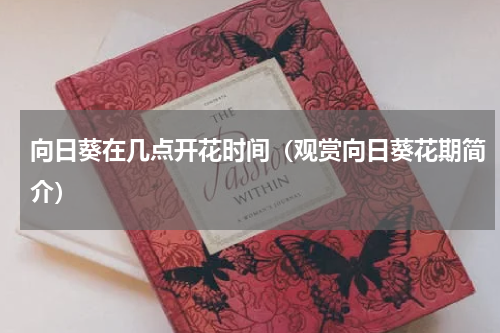 向日葵在几点开花时间（观赏向日葵花期简介）