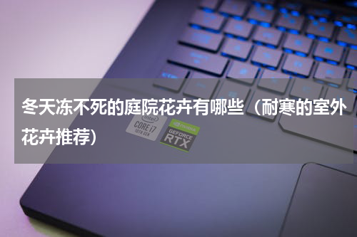 冬天冻不死的庭院花卉有哪些（耐寒的室外花卉推荐）