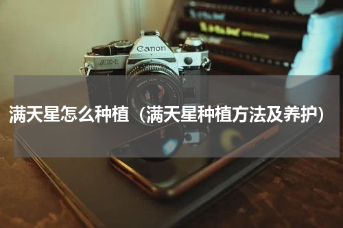 满天星怎么种植（满天星种植方法及养护）