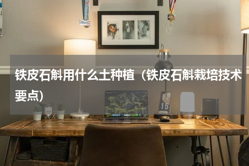 铁皮石斛用什么土种植（铁皮石斛栽培技术要点）