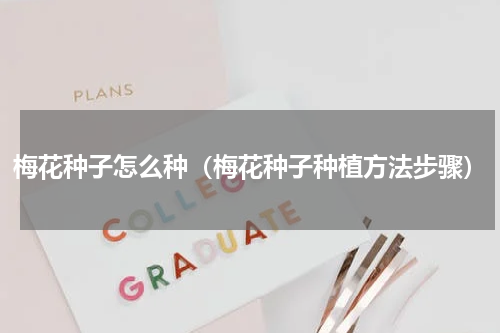 梅花种子怎么种（梅花种子种植方法步骤）