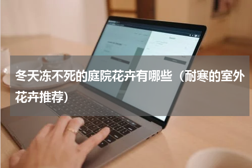 冬天冻不死的庭院花卉有哪些（耐寒的室外花卉推荐）
