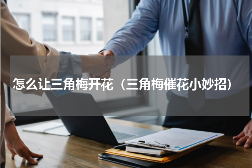 怎么让三角梅开花（三角梅催花小妙招）