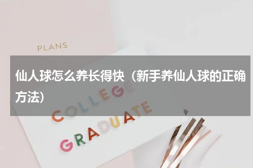 仙人球怎么养长得快（新手养仙人球的正确方法）