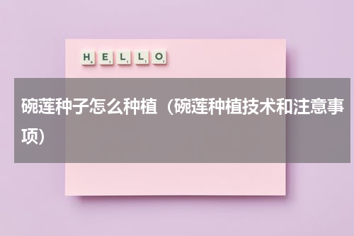 碗莲种子怎么种植（碗莲种植技术和注意事项）
