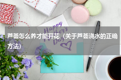 芦荟怎么养才能开花（关于芦荟浇水的正确方法）