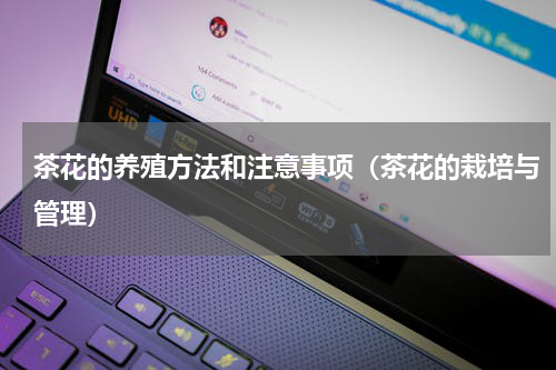 茶花的养殖方法和注意事项（茶花的栽培与管理）