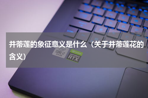 并蒂莲的象征意义是什么（关于并蒂莲花的含义）