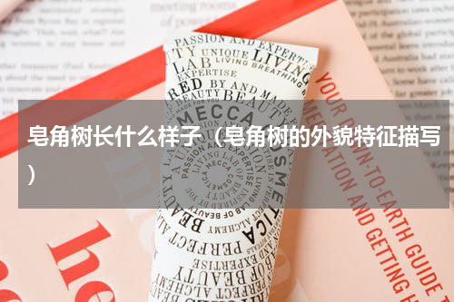 皂角树长什么样子（皂角树的外貌特征描写）