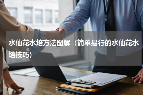 水仙花水培方法图解（简单易行的水仙花水培技巧）