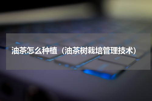 油茶怎么种植（油茶树栽培管理技术）
