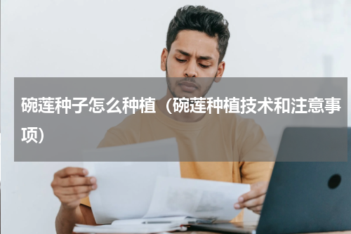 碗莲种子怎么种植（碗莲种植技术和注意事项）