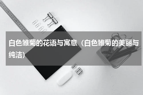 白色雏菊的花语与寓意（白色雏菊的美丽与纯洁）