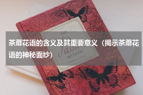 茶蘼花语的含义及其重要意义（揭示茶蘼花语的神秘面纱）