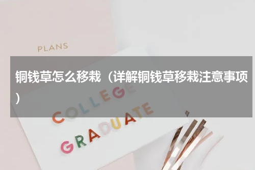 铜钱草怎么移栽（详解铜钱草移栽注意事项）