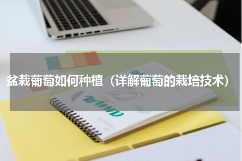 盆栽葡萄如何种植（详解葡萄的栽培技术）