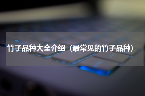 竹子品种大全介绍（最常见的竹子品种）