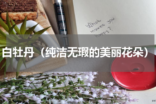 白牡丹（纯洁无瑕的美丽花朵）