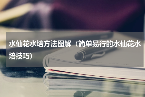 水仙花水培方法图解（简单易行的水仙花水培技巧）