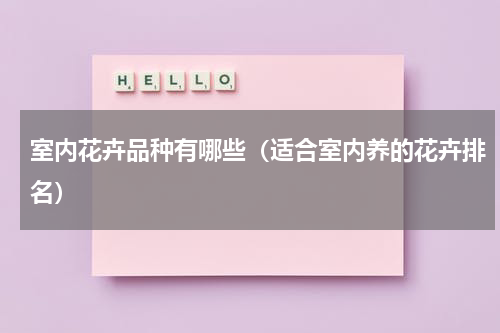 室内花卉品种有哪些（适合室内养的花卉排名）
