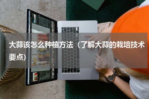 大蒜该怎么种植方法（了解大蒜的栽培技术要点）