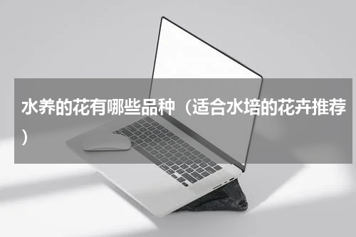 水养的花有哪些品种（适合水培的花卉推荐）
