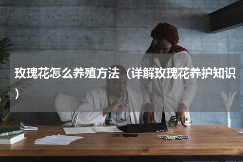 玫瑰花怎么养殖方法（详解玫瑰花养护知识）