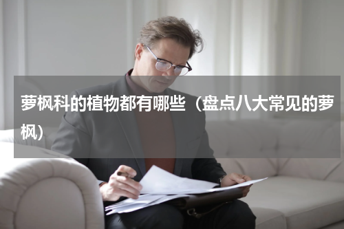 萝枫科的植物都有哪些（盘点八大常见的萝枫）