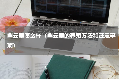 翠云草怎么样（翠云草的养殖方法和注意事项）