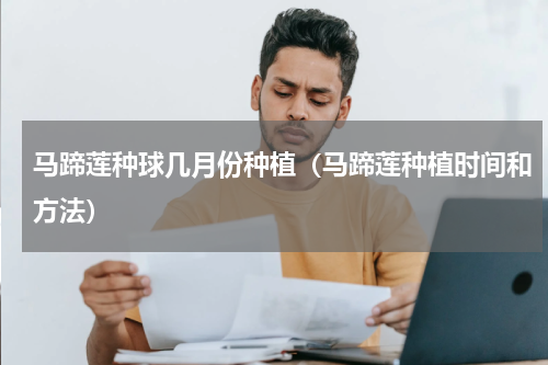 马蹄莲种球几月份种植（马蹄莲种植时间和方法）