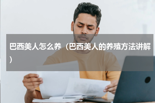 巴西美人怎么养（巴西美人的养殖方法讲解）