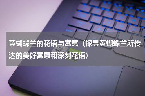 黄蝴蝶兰的花语与寓意（探寻黄蝴蝶兰所传达的美好寓意和深刻花语）