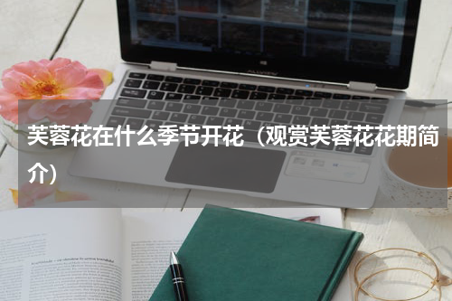 芙蓉花在什么季节开花（观赏芙蓉花花期简介）