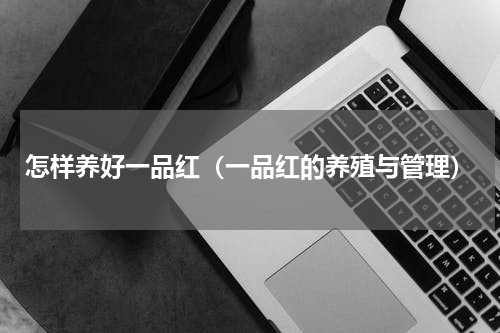 怎样养好一品红（一品红的养殖与管理）