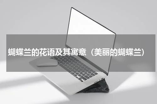 蝴蝶兰的花语及其寓意（美丽的蝴蝶兰）