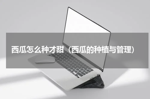 西瓜怎么种才甜（西瓜的种植与管理）