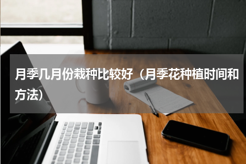 月季几月份栽种比较好（月季花种植时间和方法）