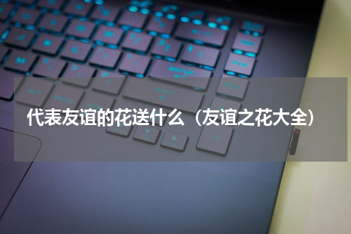 代表友谊的花送什么（友谊之花大全）