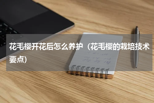 花毛樱开花后怎么养护（花毛樱的栽培技术要点）