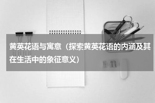 黄英花语与寓意（探索黄英花语的内涵及其在生活中的象征意义）