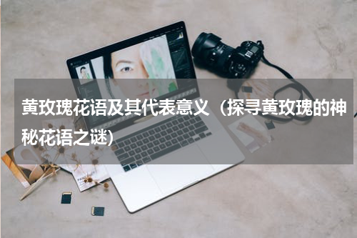 黄玫瑰花语及其代表意义（探寻黄玫瑰的神秘花语之谜）