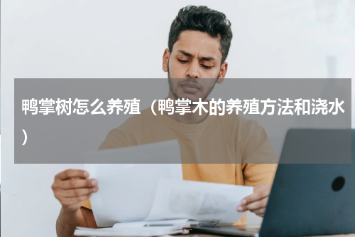 鸭掌树怎么养殖（鸭掌木的养殖方法和浇水）