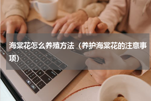 海棠花怎么养殖方法（养护海棠花的注意事项）