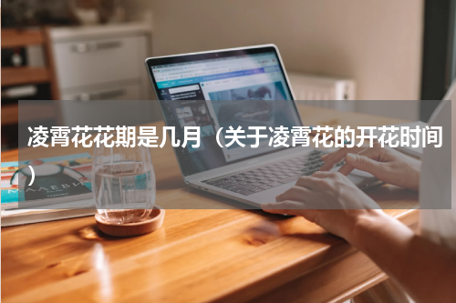 凌霄花花期是几月（关于凌霄花的开花时间）