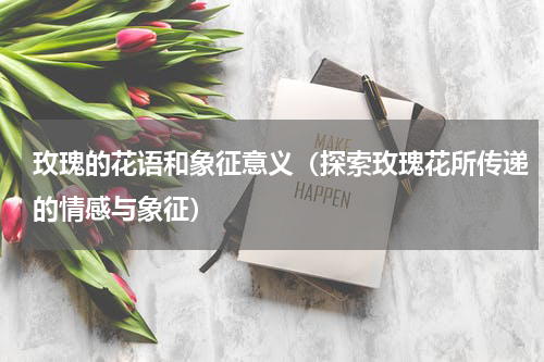 玫瑰的花语和象征意义（探索玫瑰花所传递的情感与象征）