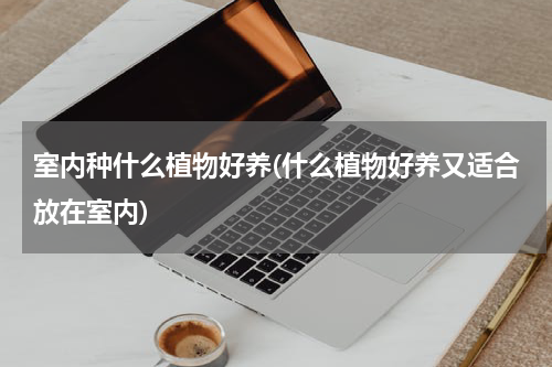 室内种什么植物好养(什么植物好养又适合放在室内)
