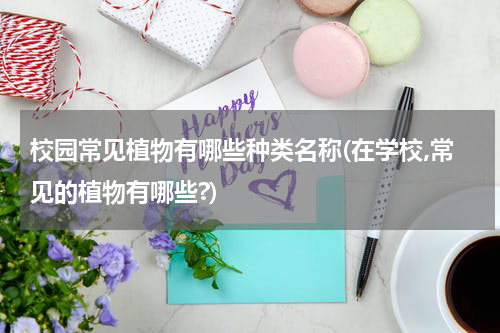校园常见植物有哪些种类名称(在学校,常见的植物有哪些?)
