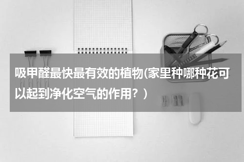 吸甲醛最快最有效的植物(家里种哪种花可以起到净化空气的作用？)