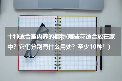 十种适合室内养的植物(哪些花适合放在家中？它们分别有什么用处？至少10种！)