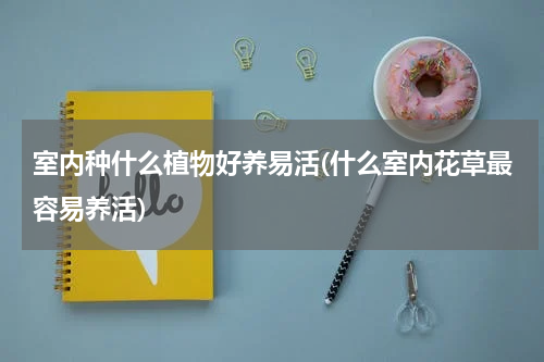 室内种什么植物好养易活(什么室内花草最容易养活)